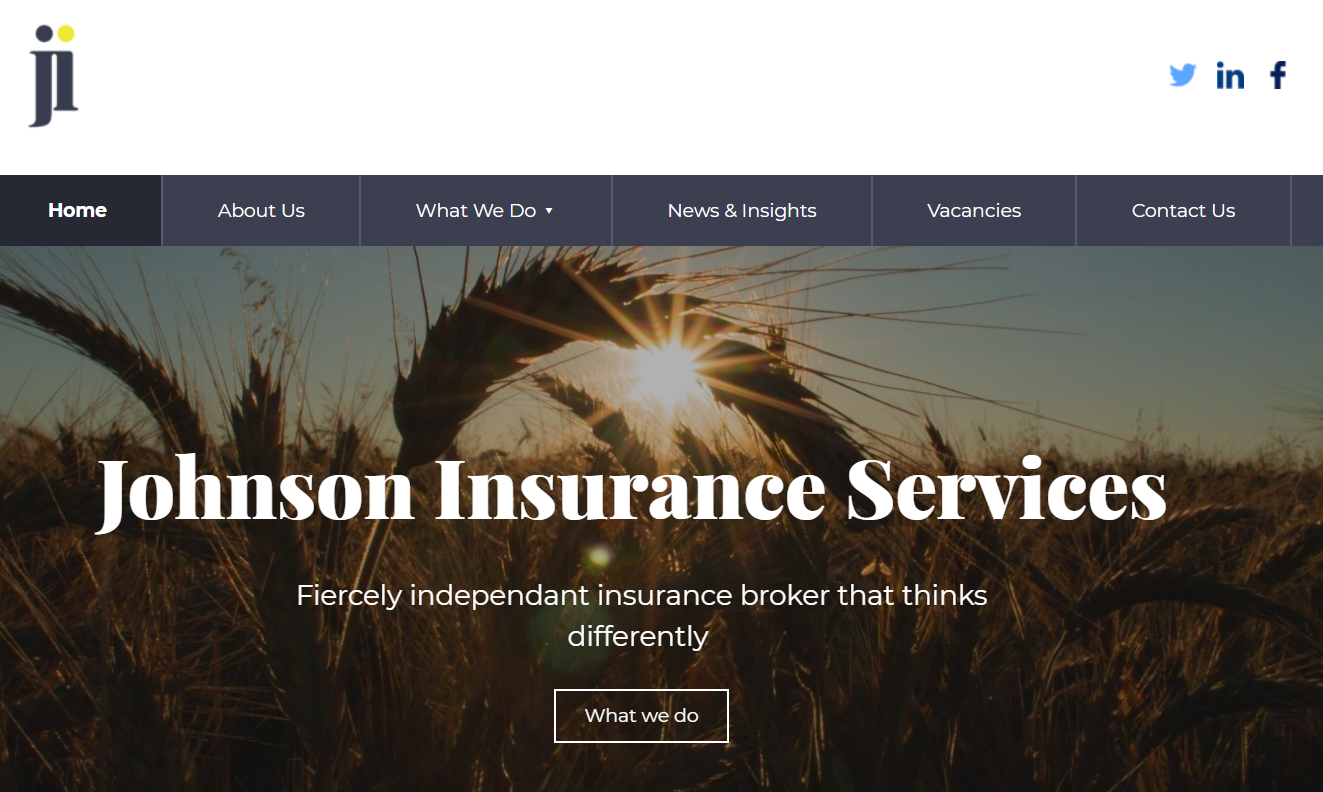 johnsons insurance